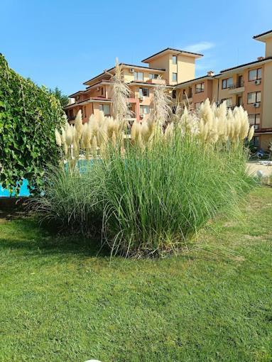 Magic Dreams Apartments スヴェティ・ヴラス エクステリア 写真